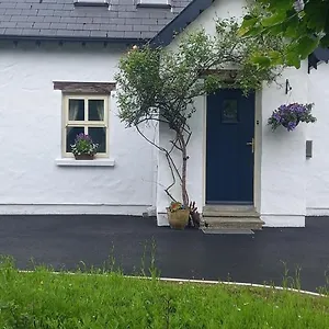 Cheerful Westport